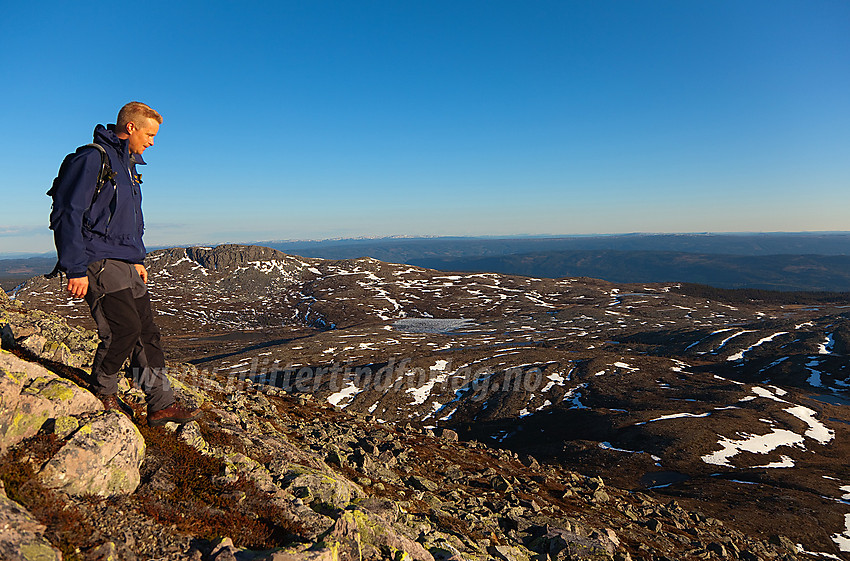 På vei ned fra Rundemellen en forsommerkveld med Skarvemellen i bakgrunnen.