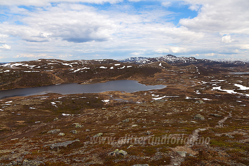 Utsikt fra Reinhamran mot Svartetjern og Søre Fukhamran (1150 moh) med Djuptjernkampen i bakgrunnen.