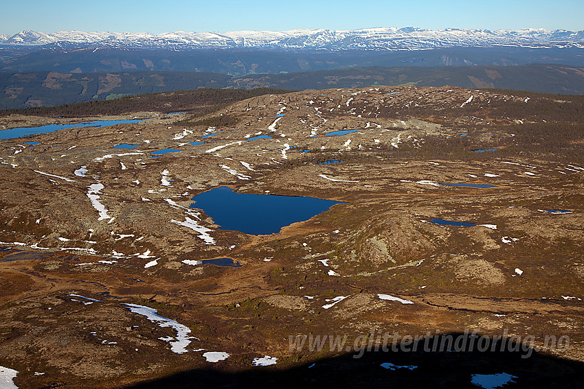 Utsikt fra Rundemellen mot Rognlifjellet og snøfjelle langs grensa mellom Hemsedal og Vestre Slidre / Vang.