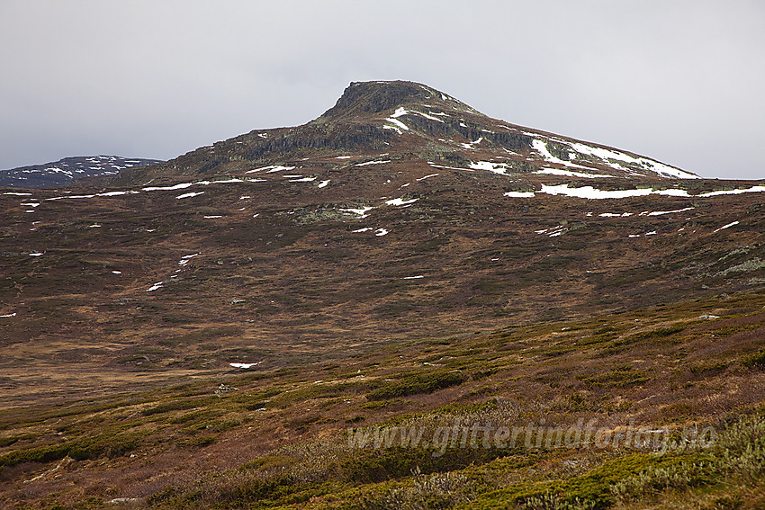 Mot Svarthammaren (1471 moh) i Øystre Slidre.