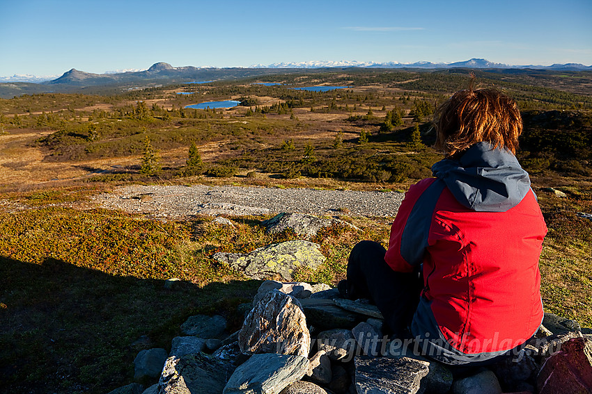 Herlig morgenpanorama fra Goaren (1070 moh) i Etnedal mot Mellane, Jotunheimen og Skaget.