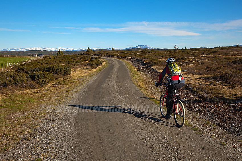 Syklist på Bjørnhovda i Nord-Aurdal en flott sommermorgen. I bakgrunnen ses Jotunheimens snøhvite tinder.