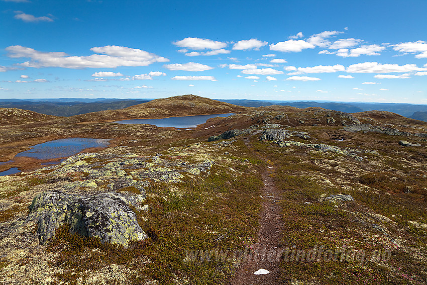 På vei tilbake fra Bjørgovarden mot Nordfjellstølen. Sentralt i bildet østtoppen på Bjørgovarden (1126 moh).