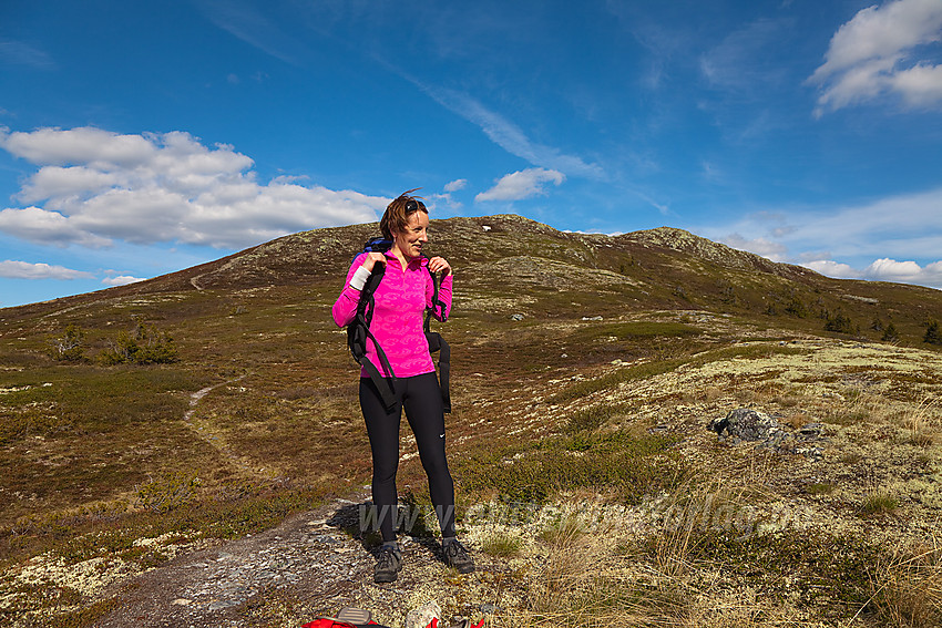 På nordvestryggen mot Binnhovdknatten (1165 moh) i Nord-Aurdal.