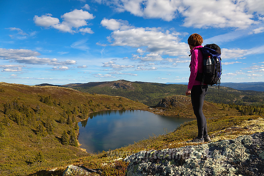 Et stykke sørøst for Binnhovdknatten ved Kritetjernet med Fjellenden i bakgrunnen.