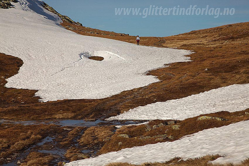 På tur til Spåtinden fra Fjellsætra. Bildet er tatt like vest-sørvest for toppen.