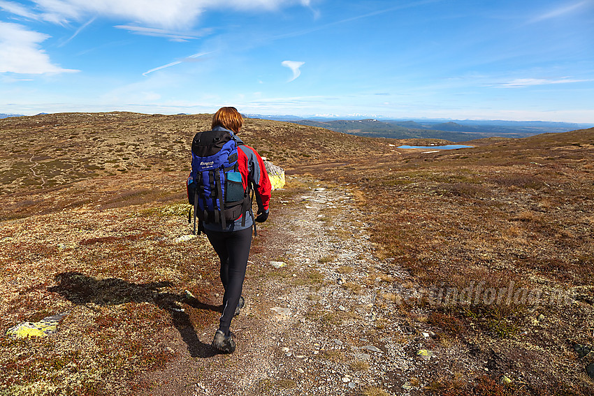 På vei fra Spåtinden (1414 moh) mot Feplassen på god og tydelig sti.