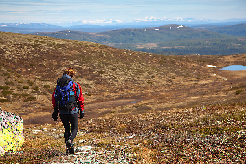 På vei ned fra Spåtinden mot Feplassen. I bakgrunnen skimtes Rondane.