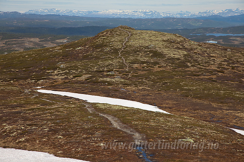 Høydedrag (1197 moh) langs stien fra Feplassen til Spåtinden som byr på en flott utsikt.