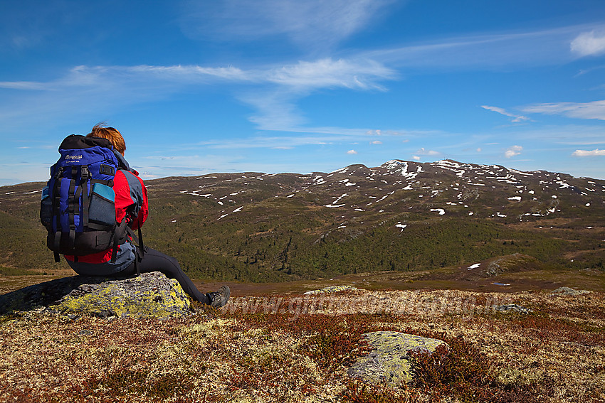 Utsikt fra Bjørnehalli mot Spåtinden (1414 moh).