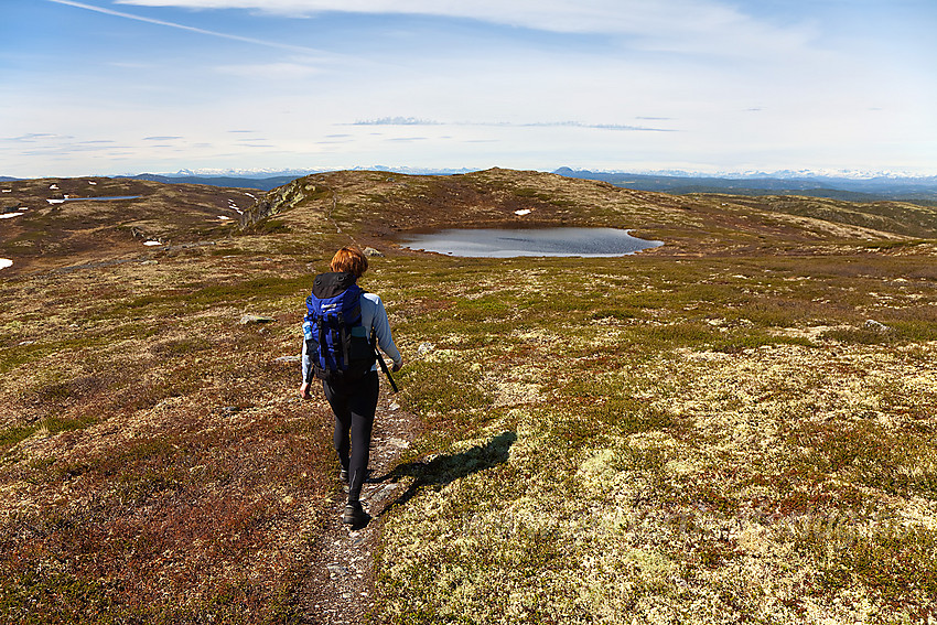 På vei fra Bjørnehalli mot Jomfruslettfjellet.