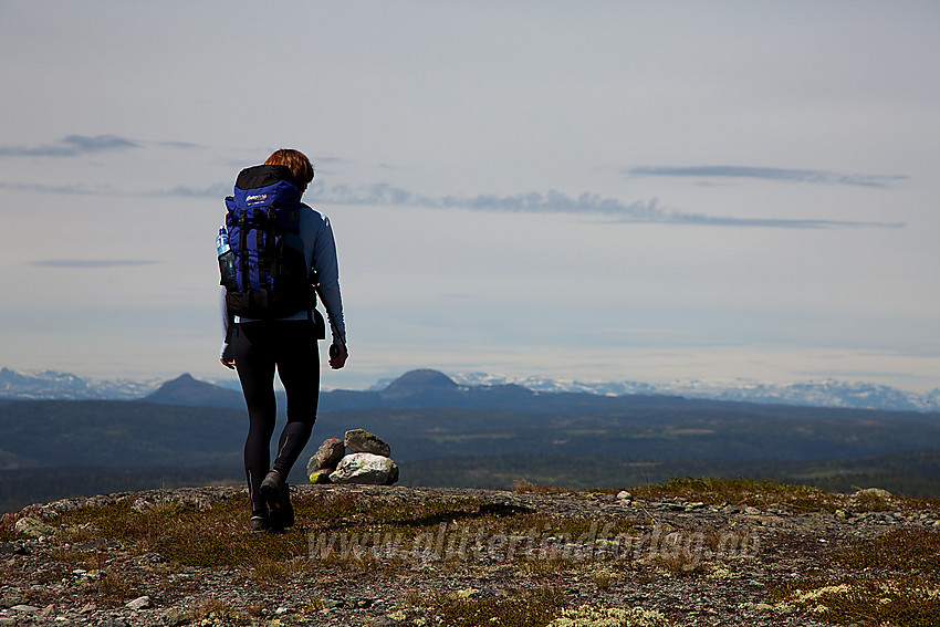 Fjellvandring på Jomfruslettfjellet.