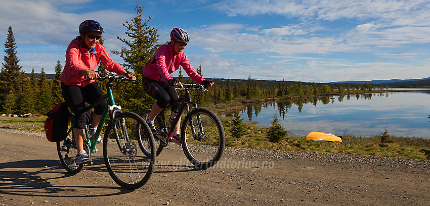 Sykling ved Paridsfjorden i Tisleidalen (Nord-Aurdal).