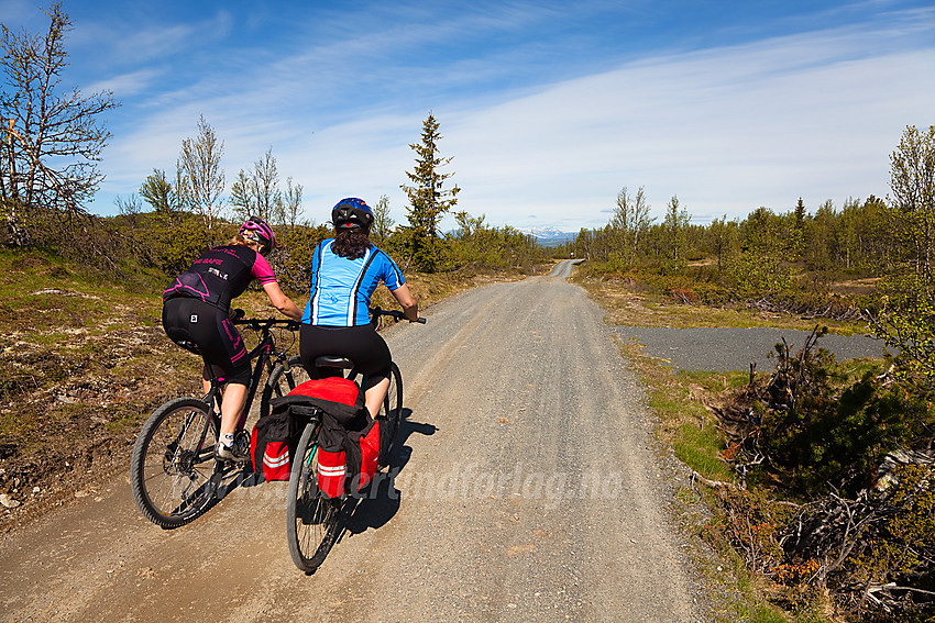 På høyda mellom Haugsetfjellet og Haugsjøfellet i Nord-Aurdal.