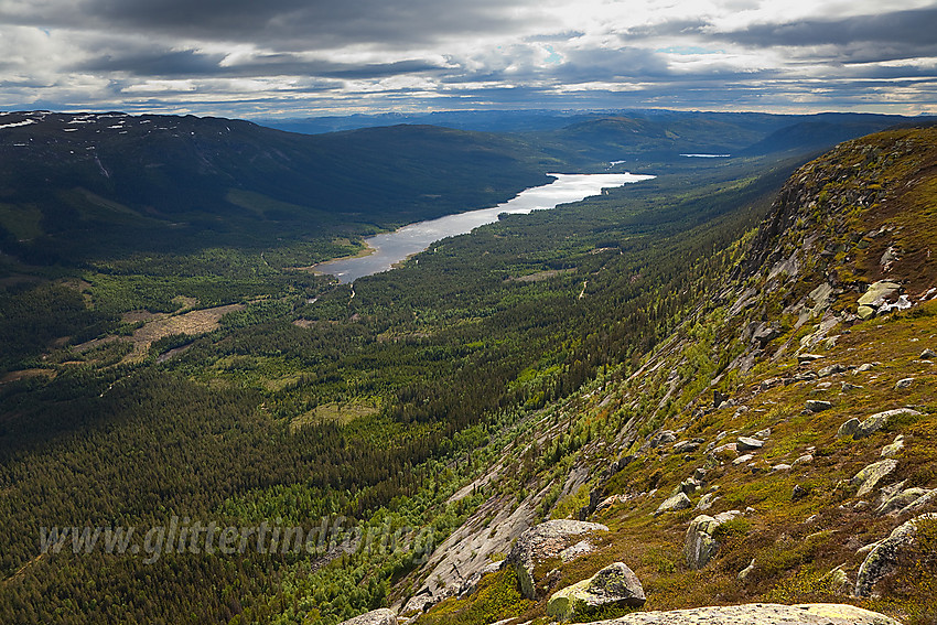 Flott utsikt fra Hestehøgda på Manfjellet innover Vassfaret med Aurdalsfjorden sentralt i bildet.