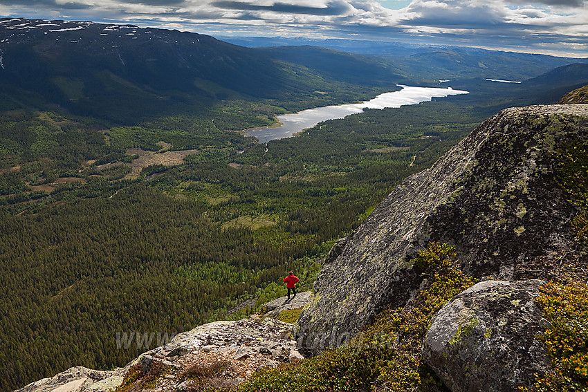 Flott utsikt fra Hestehøgda på Manfjellet innover Vassfaret med Aurdalsfjorden sentralt i bildet. Sørbølfjellet i bakgrunnen til venstre.