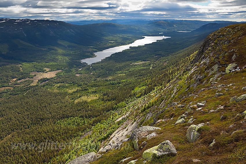 Flott utsikt fra Hestehøgda på Manfjellet innover Vassfaret med Aurdalsfjorden sentralt i bildet.