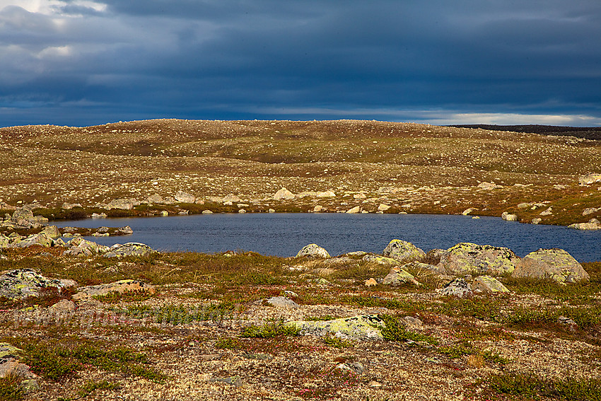 På Manfjellet, ikke langt fra Sæterknatten, i Vassfaret.