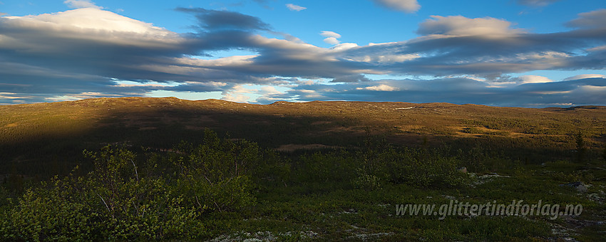 Fra Busufjellet mot Manfjellet i Sør-Aurdal en sommerkveld.