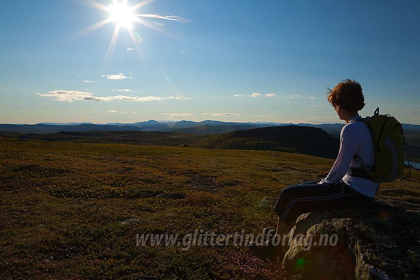 På Ormtjernkampen (1128 moh) med utsikt nordover.