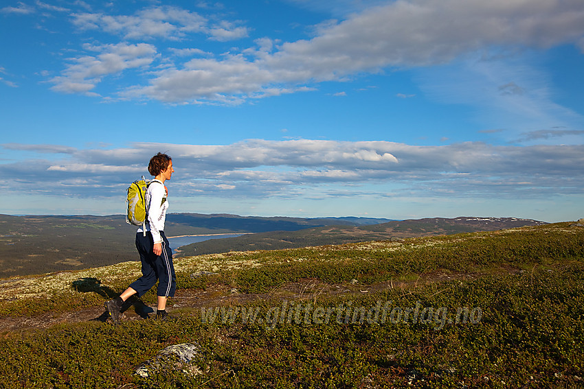 Fjellvandring på Ormtjernkampen. Bak til høyre ses Skjervungfjellet.