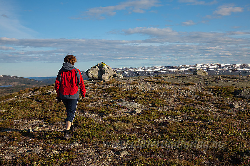 De siste meterne opp til toppen av Ormtjernkampen (1128 moh) med Spåtind (1414 moh) i bakgrunnen.