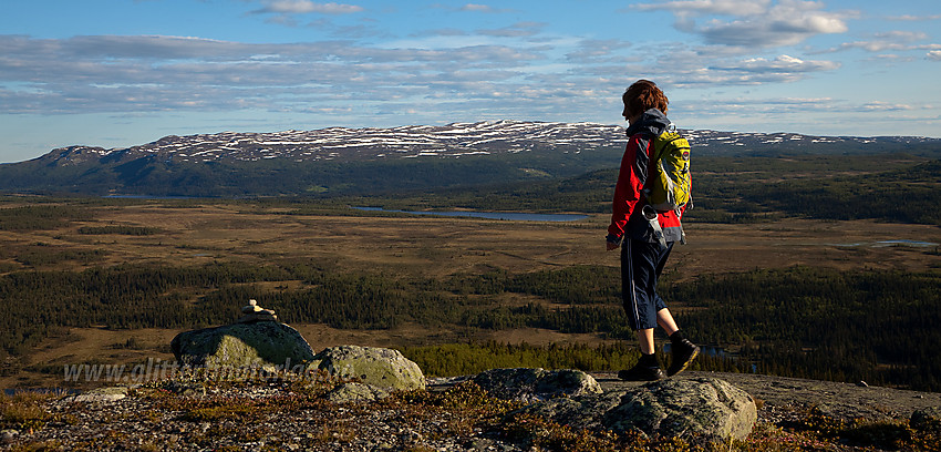 På toppen av Ormtjernkampen (1128 moh) med Spåtind (1414 moh) i bakgrunnen.