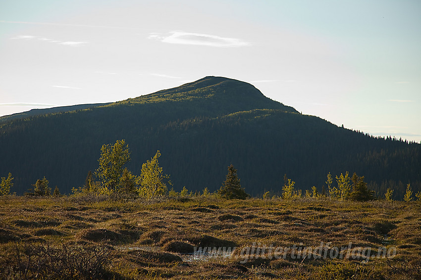 Ormtjernkampen (1128 moh) fra sør.