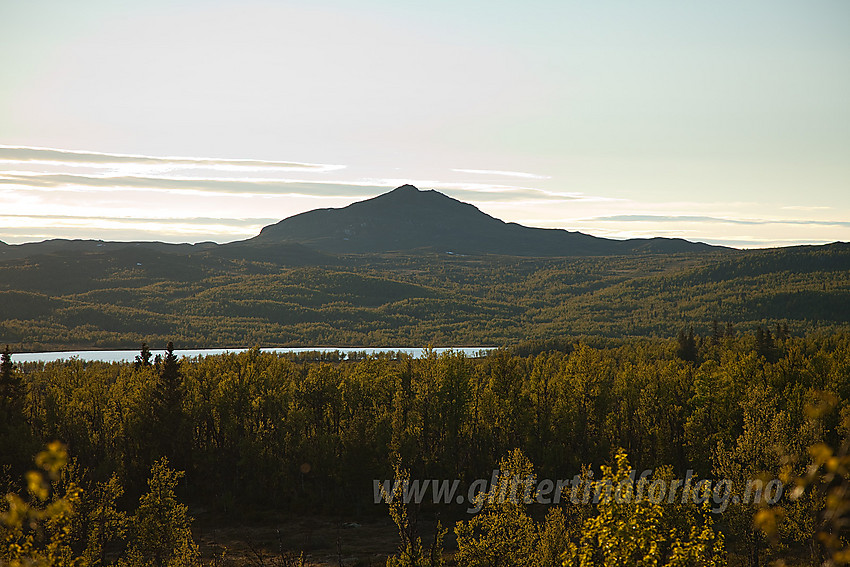 Fra Lenningen mot Djuptjernkampen (1325 moh).