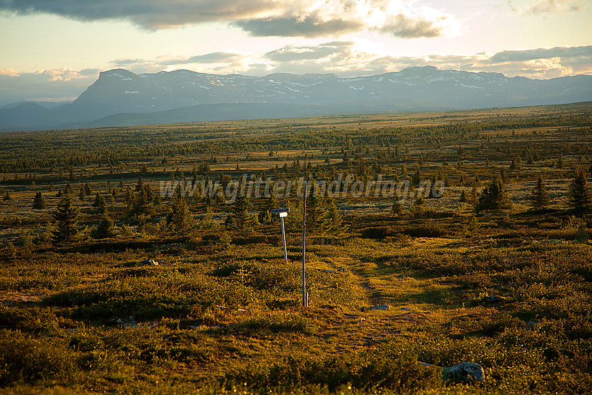 Fra Gribbehaugen i Nord-Aurdal en sommerkveld mot bl.a. Skogshorn og Veslebotnskarvet.