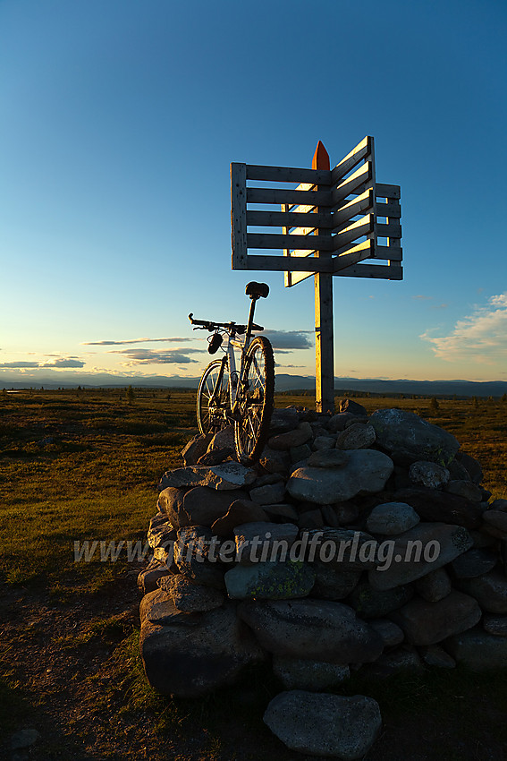 Sykkel på toppen av Gribbehaugen en sommerkveld.