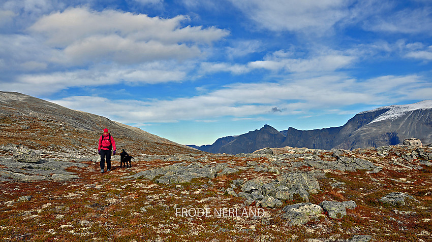 Nørdre Steinbruhøa. I bakgrunnen Hovsnebba,Hårstadtoppen,Hårstadnebba,Langrabbpiken,Storkalkinn, 