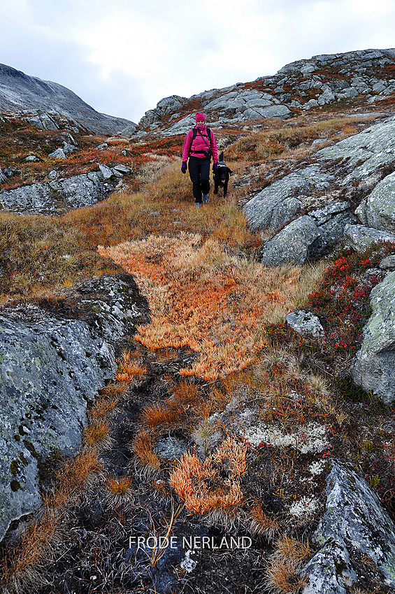 Ved Langdalselva. Fremdeles litt høstfarger igjen i oktober.