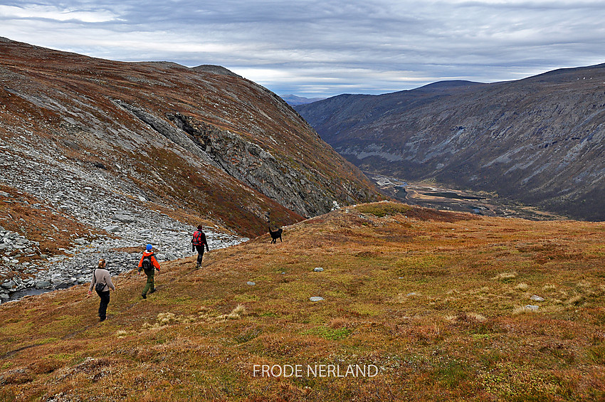 På vei ned fra Tverråkvolvet til Grøvudalen.