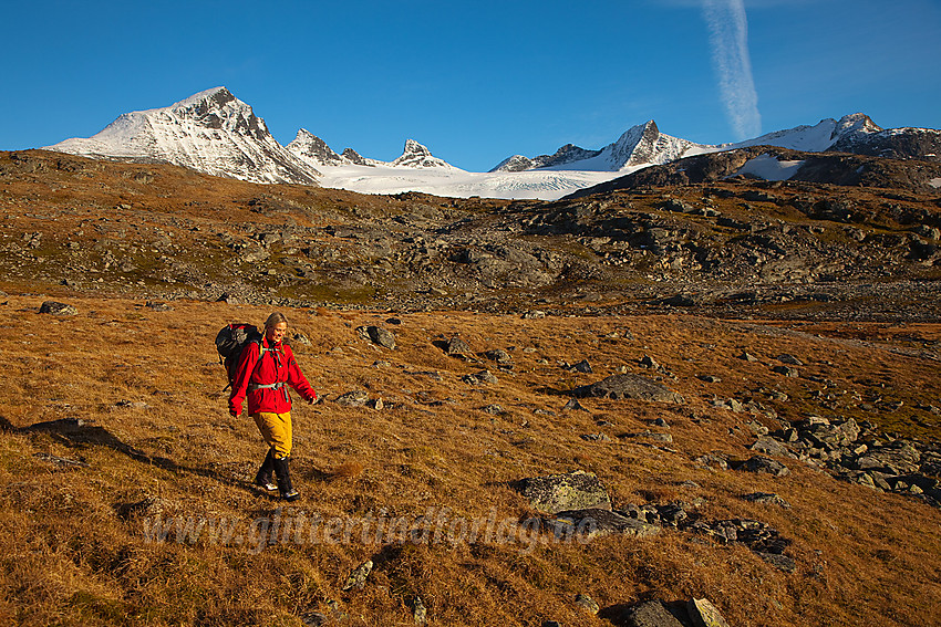 På vei ned siste lia mot Krossbu etter en flott tur i fjellet. I bakgrunnen Leirbrean og Smørstabbtindane som omkranser den.