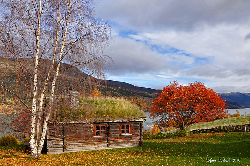 Høstdag på Sygard Storrvik i Vågå