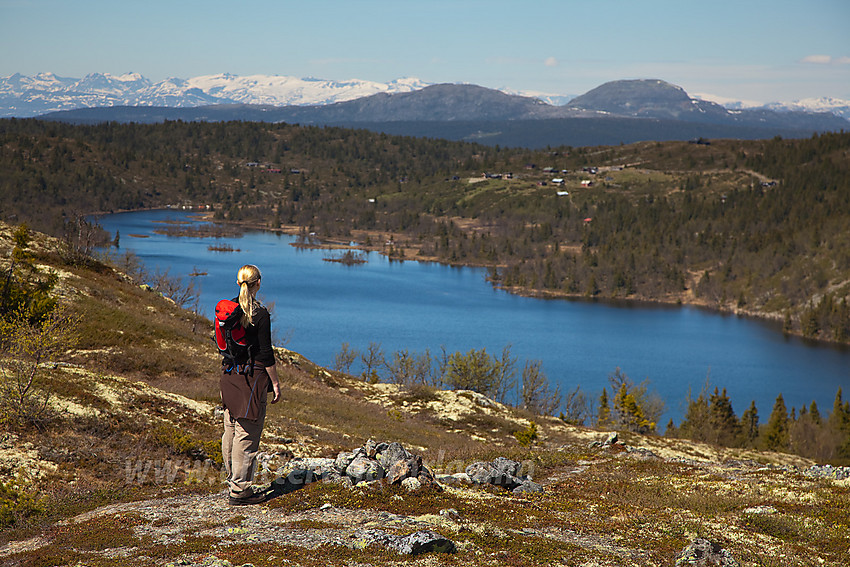 På vei tilbake fra Binnhovdknatten med utsikt mot Fjeslitjernet med Melladn i bakgrunnen og Jotunheimen i det fjerne.