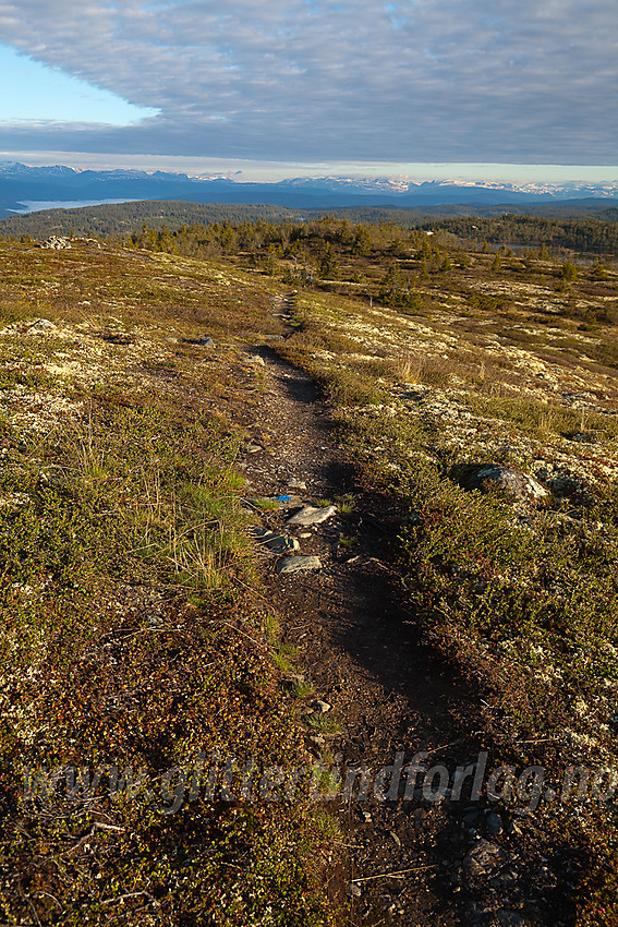 På Storstølknatten (1124 moh) på Aurdalsåsen med utsikt i retning Jotunheimen.