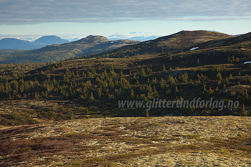 Fra Storstølknatten mot Fjellenden og Binnhovdknatten.