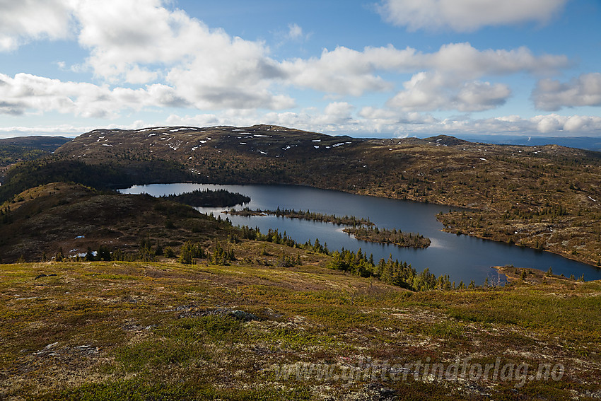 Fra ryggen øst for Freningfjellet mot Ividalsvatnet og Bjørgovarden.