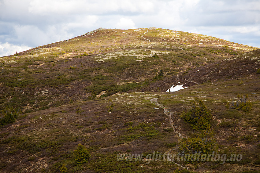 Fjellenden (1145 moh) på Aurdalsåsen.