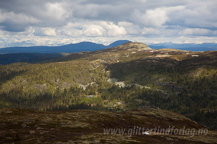 Fra Fjellenden mot Binnhovdknatten (1165 moh).