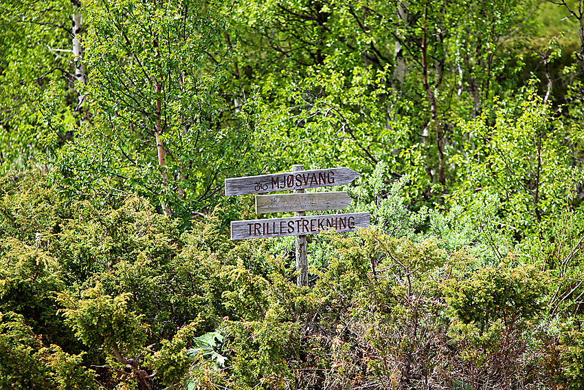 Skilt der veien stopper ved Grunke. Her fortsetter sykkelrute mot Vang via Smådalen, først et par kilometer på sti.