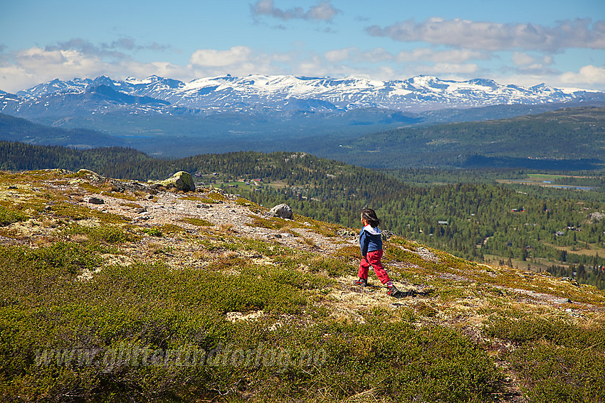 På toppen av Rabbalsmellen med Jotunheimen i bakgrunnen.