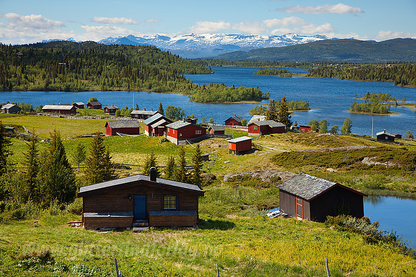 Ved Rabbalen med Vangsjøen i bakgrunnen og Jotunheimen i det fjerne.