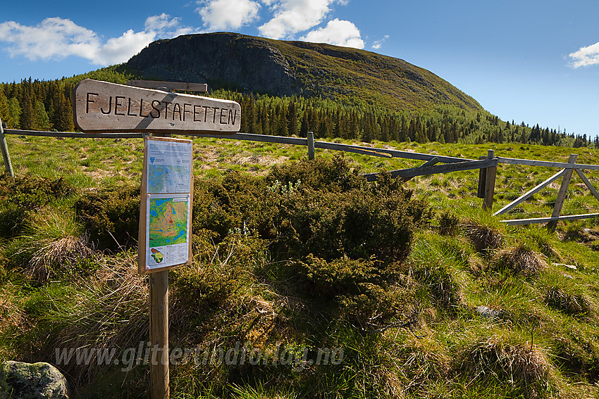 Ved stistart mot bl.a. Rabbalsmellen (1111 moh) fra Vangsjøen fjellstue, med toppen i bakgrunnen