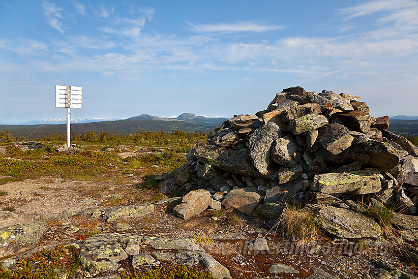 Sommermorgen på toppen av Tveitastølfjellet (1043 moh).