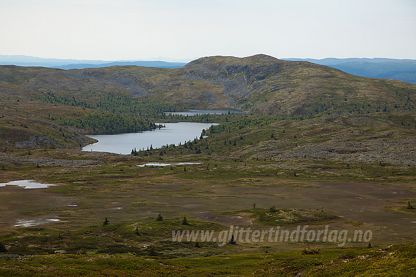 Fra Smørlifjellet mot Binnhovdknatten (1165 moh).