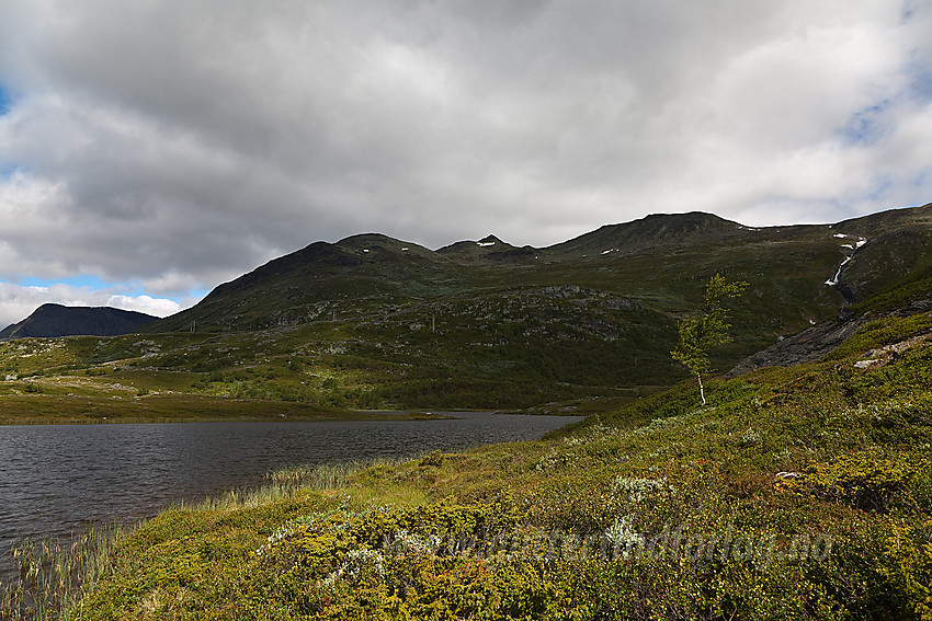 Ved Knappetjednet mot Vennisfjellet.