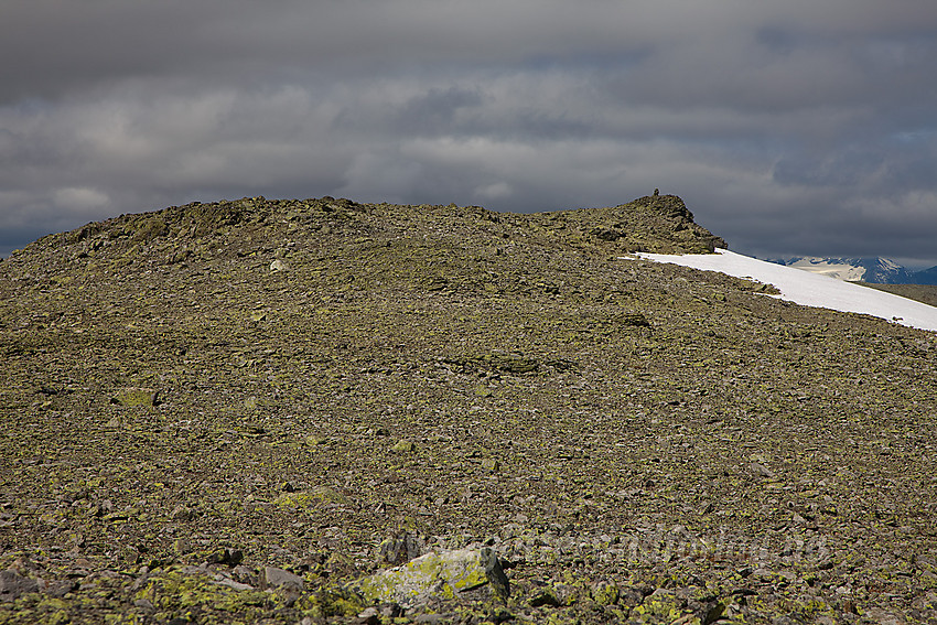 Toppunktet på Mjellknapp (1678 moh) sett fra øst.